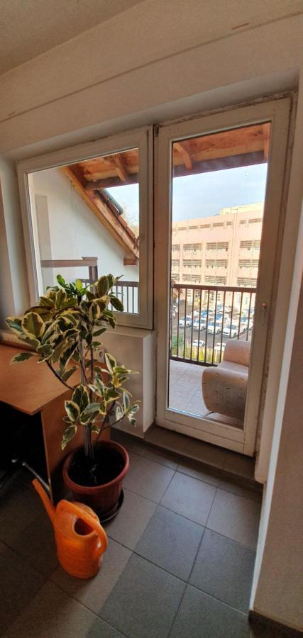 Hostel Romzsa Todor Kollegium Segedín Exteriér fotografie