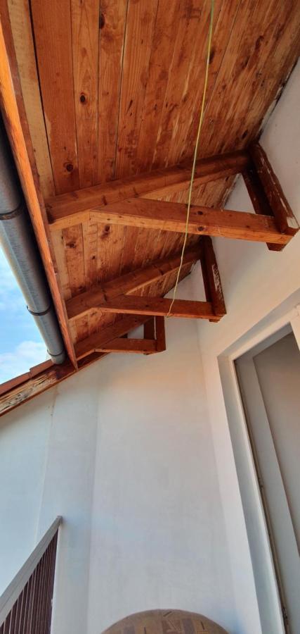 Hostel Romzsa Todor Kollegium Segedín Exteriér fotografie